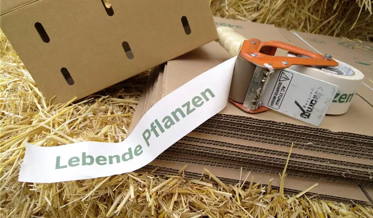 Pflanzenversand PackZeug.jpg