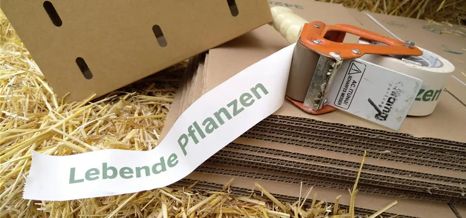 Pflanzenversand PackZeug.jpg